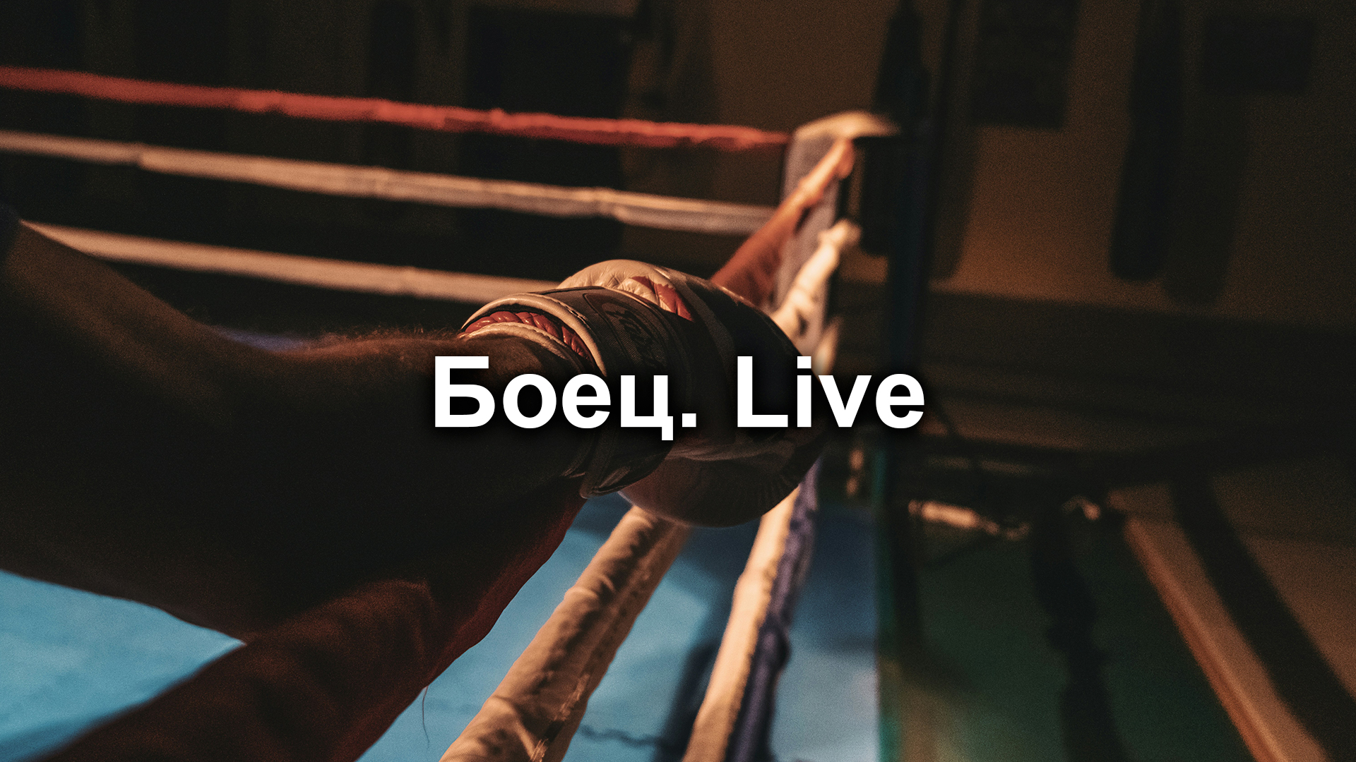 Изображение трансляции